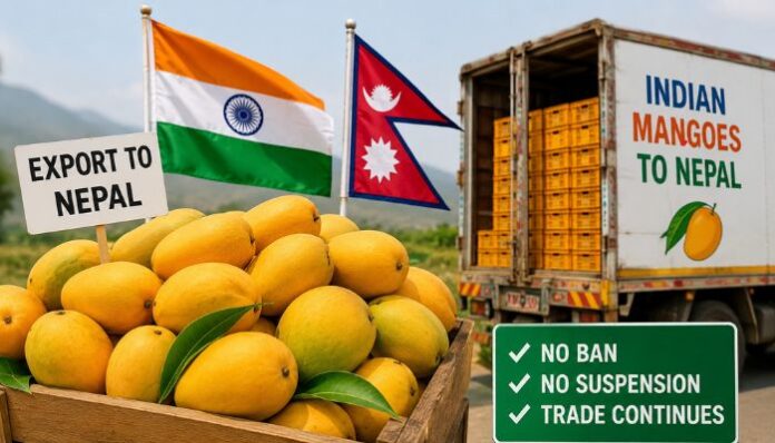 Mango Diplomacy Meltdown: Why Nepal and Japan Are Turning Away India's King of Fruits